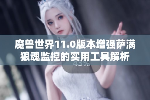 魔兽世界11.0版本增强萨满狼魂监控的实用工具解析