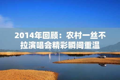 2014年回顾：农村一丝不拉演唱会精彩瞬间重温