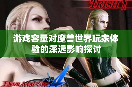 游戏容量对魔兽世界玩家体验的深远影响探讨