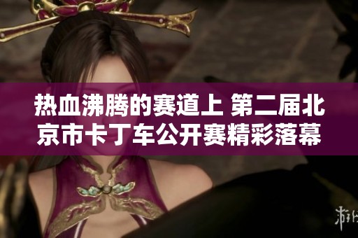 热血沸腾的赛道上 第二届北京市卡丁车公开赛精彩落幕