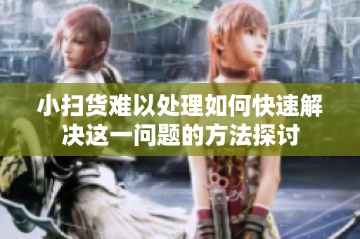 小扫货难以处理如何快速解决这一问题的方法探讨