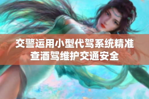 交警运用小型代驾系统精准查酒驾维护交通安全