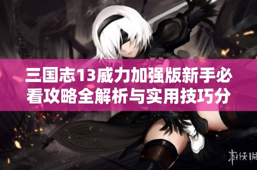三国志13威力加强版新手必看攻略全解析与实用技巧分享