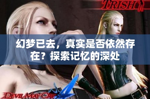 幻梦已去，真实是否依然存在？探索记忆的深处
