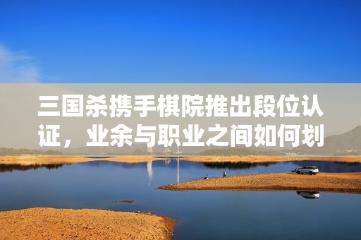 三国杀携手棋院推出段位认证，业余与职业之间如何划分？