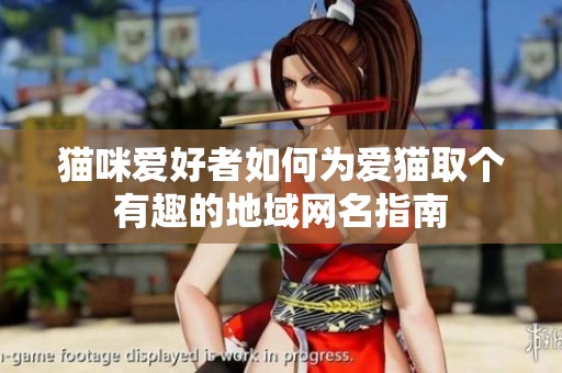 猫咪爱好者如何为爱猫取个有趣的地域网名指南