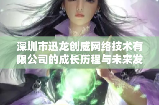 深圳市迅龙创威网络技术有限公司的成长历程与未来发展展望