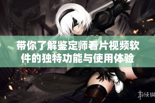 带你了解鉴定师看片视频软件的独特功能与使用体验