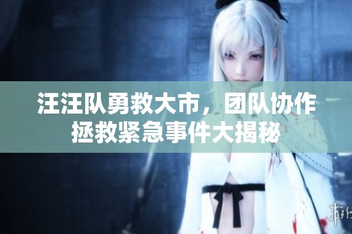 汪汪队勇救大市，团队协作拯救紧急事件大揭秘