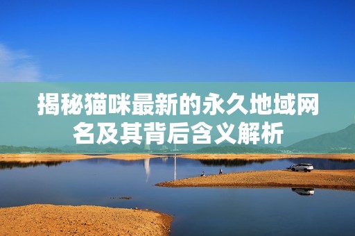 揭秘猫咪最新的永久地域网名及其背后含义解析