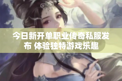今日新开单职业传奇私服发布 体验独特游戏乐趣