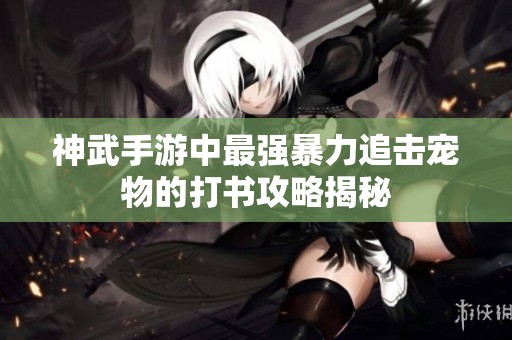 神武手游中最强暴力追击宠物的打书攻略揭秘