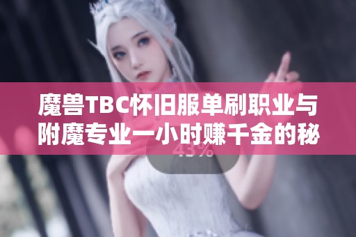 魔兽TBC怀旧服单刷职业与附魔专业一小时赚千金的秘密攻略