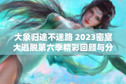 大象归途不迷路 2023密室大逃脱第六季精彩回顾与分析