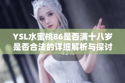 YSL水蜜桃86是否满十八岁是否合法的详细解析与探讨