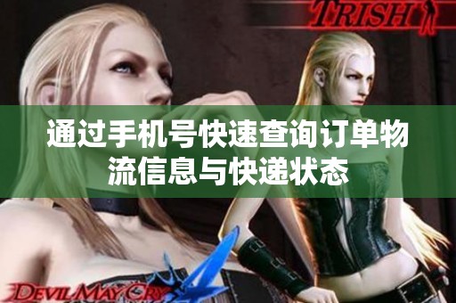 通过手机号快速查询订单物流信息与快递状态