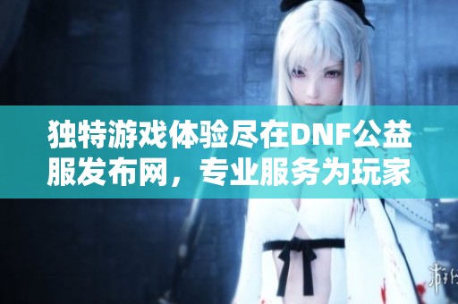 独特游戏体验尽在DNF公益服发布网，专业服务为玩家加分