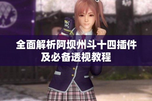 全面解析阿坝州斗十四插件及必备透视教程