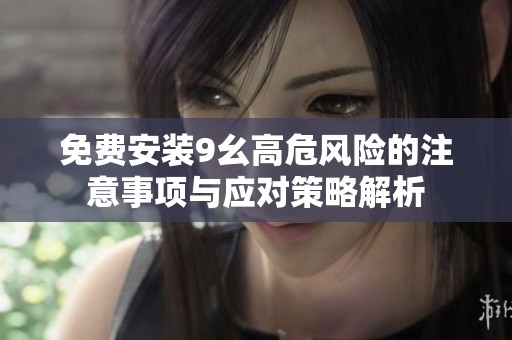 免费安装9幺高危风险的注意事项与应对策略解析