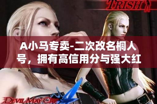 A小马专卖-二次改名桐人号，拥有高信用分与强大红10狂战