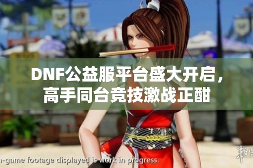 DNF公益服平台盛大开启，高手同台竞技激战正酣