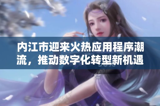 内江市迎来火热应用程序潮流，推动数字化转型新机遇