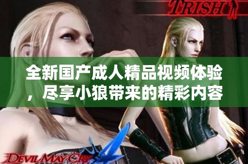 全新国产成人精品视频体验，尽享小狼带来的精彩内容