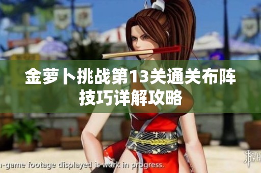 金萝卜挑战第13关通关布阵技巧详解攻略