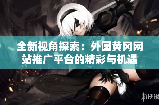全新视角探索：外国黄冈网站推广平台的精彩与机遇