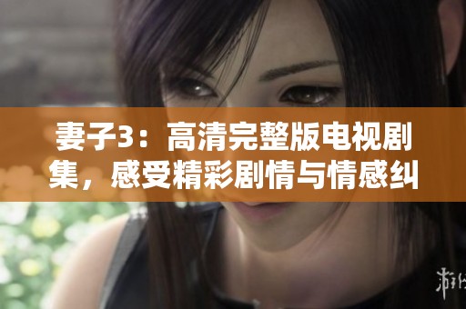 妻子3：高清完整版电视剧集，感受精彩剧情与情感纠葛