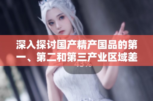 深入探讨国产精产国品的第一、第二和第三产业区域差异