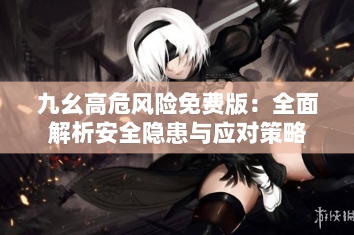 九幺高危风险免费版：全面解析安全隐患与应对策略