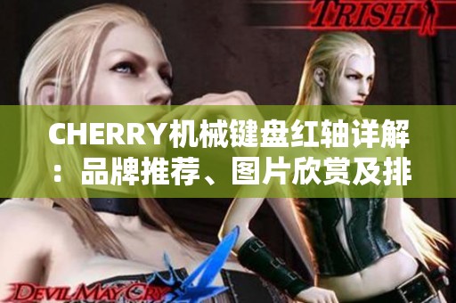 CHERRY机械键盘红轴详解：品牌推荐、图片欣赏及排行榜分析