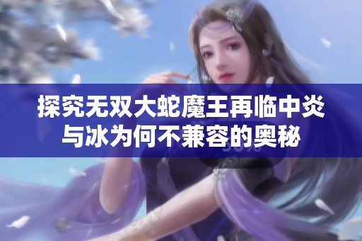 探究无双大蛇魔王再临中炎与冰为何不兼容的奥秘