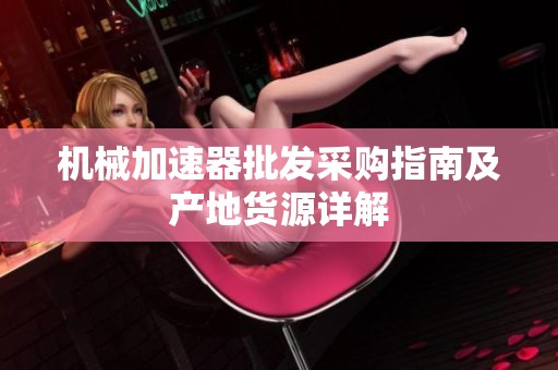 机械加速器批发采购指南及产地货源详解