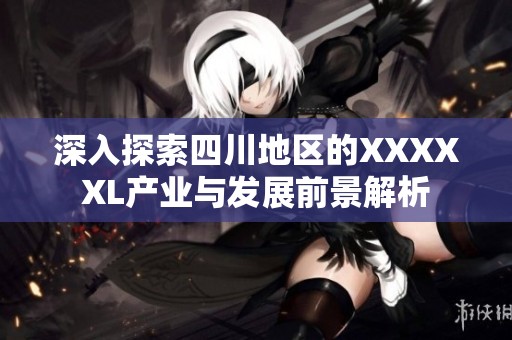 深入探索四川地区的XXXXXL产业与发展前景解析