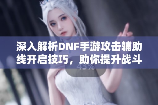 深入解析DNF手游攻击辅助线开启技巧，助你提升战斗精准度