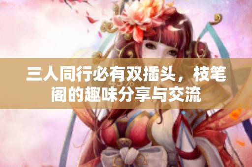 三人同行必有双插头，枝笔阁的趣味分享与交流