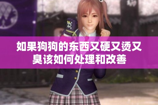 如果狗狗的东西又硬又烫又臭该如何处理和改善