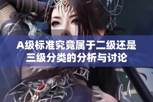 A级标准究竟属于二级还是三级分类的分析与讨论