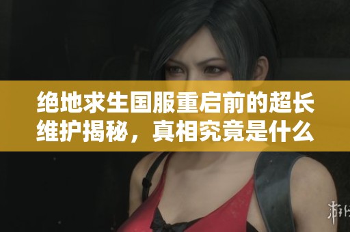 绝地求生国服重启前的超长维护揭秘，真相究竟是什么？