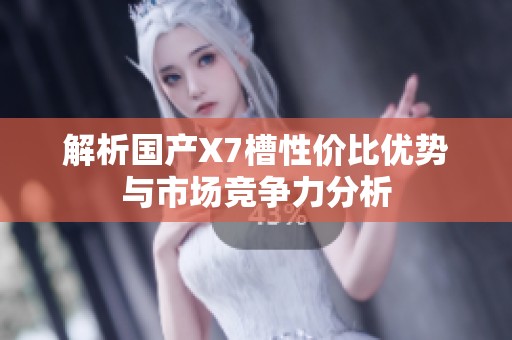 解析国产X7槽性价比优势与市场竞争力分析
