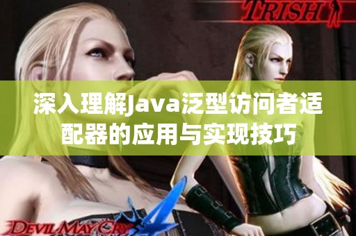 深入理解Java泛型访问者适配器的应用与实现技巧