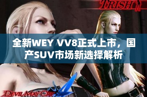 全新WEY VV8正式上市，国产SUV市场新选择解析