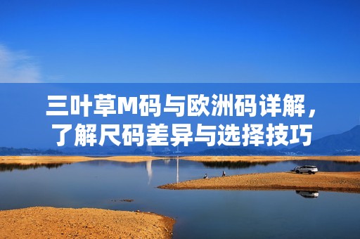 三叶草M码与欧洲码详解，了解尺码差异与选择技巧