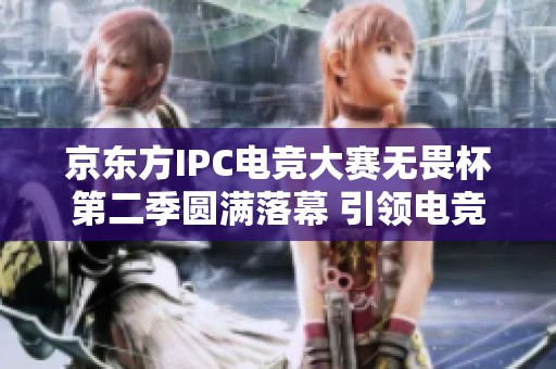 京东方IPC电竞大赛无畏杯第二季圆满落幕 引领电竞产业新篇章