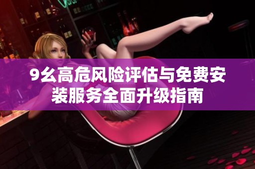 9幺高危风险评估与免费安装服务全面升级指南