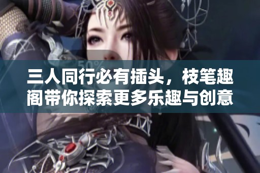 三人同行必有插头，枝笔趣阁带你探索更多乐趣与创意