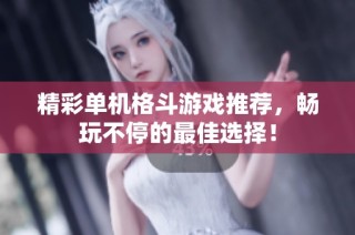 精彩单机格斗游戏推荐，畅玩不停的最佳选择！