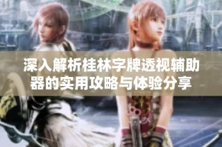 深入解析桂林字牌透视辅助器的实用攻略与体验分享